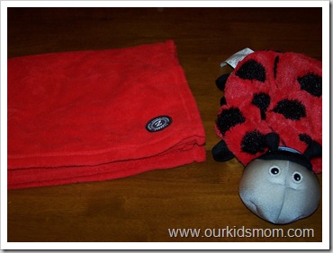 ladybug & dart gun 006