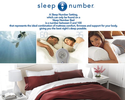 the.sleep.number.store